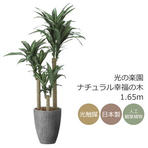 G} ̊y i`K̖1.65m@CeA tFCNO[ ^ lHϗtA (2502P650)ibsOsj