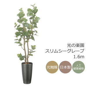 G} ̊y XV[O[v1.6m@CeA tFCNO[ ^ lHϗtA (2518A350)ibsOsj