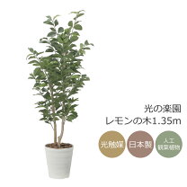 楽天市場】フェイクグリーン レモンの通販