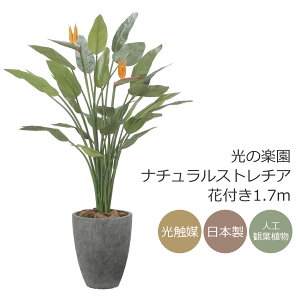 ̊y i`Xg`Aԕt1.7m CeA tFCNO[ ^ G} lHϗtA 2526A800ybsOsz