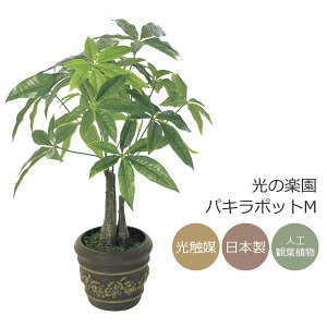 ���̊y�� �p�L���|�b�gM ��� �C���e���A ���G�} �~�j �t�F�C�N �O���[�� 252K50�y���b�s���O�s�z