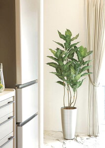 G} ̊y XfBtFoLA1.5myCeA tFCNO[ lHϗtAz(2530A300)ibsOsj