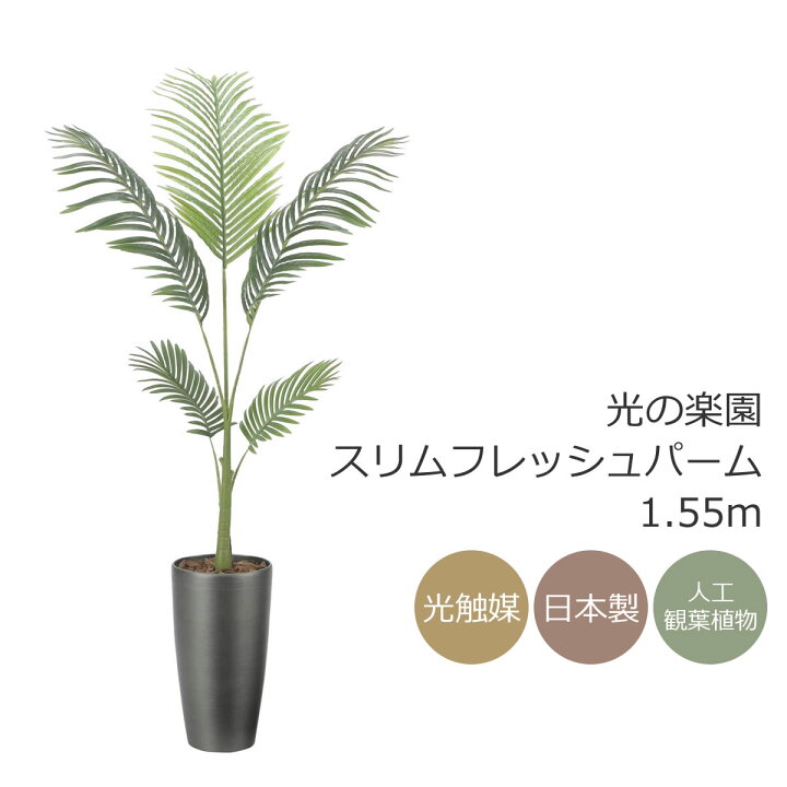 楽天市場】光触媒 人工観葉植物光の楽園 スリムフレッシュパーム 高さ 