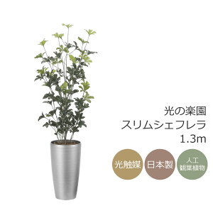 G} lHϗtÅy XVFt  1.3mi|jtFCNO[ CeA