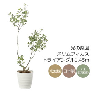 G} ̊y XtBJXgCAO1.45myCeA tFCNO[ lHϗtAz(2592A350)ibsOsj