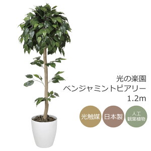 G}@̊yxW~gsA[ 1.2mytFCNO[ lHϗtA ԁz