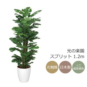 G} ̊y Xvbg 1.2m tFCNO[ lHϗtA(374K220)ybsOsz