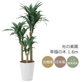 光触媒 光の楽園 幸福の木 1.6m フェイクグリーン 人工観葉植物(400K330)【ラッピング不可】