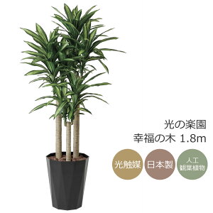 G} ̊y K̖ 1.8m@CeA tFCNO[ ^ lHϗtA (401P490)ibsOsj