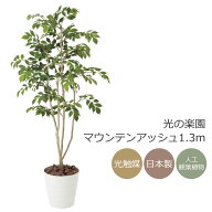 光触媒 光の楽園 マウンテンアッシュ1.3m【インテリア フェイクグリーン 人工観葉植物】(424R230)（※ラ…