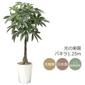 光触媒 光の楽園 パキラ1.25m フェイクグリーン 人工観葉植物(510K320)【ラッピング不可】