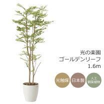 楽天市場】ゴールデンリーフの通販