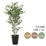 光触媒 光の楽園 白樺1.4m フェイクグリーン 人工観葉植物(607R300)【ラッピング不可】