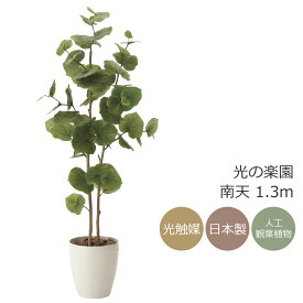 光触媒　光の楽園 シーグレープ1.25m フェイクグリーン 人工観葉植物