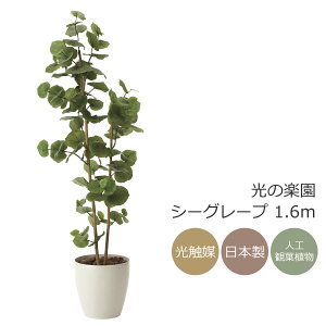 G}@̊y V[O[v1.6m tFCNO[ ^ lHϗtA