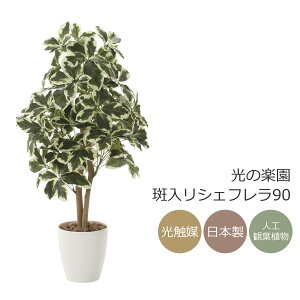 G} ̊y VFt90 tFCNO[ lHϗtA(733K160)ybsOsz