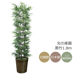 G} lHϗtÅy | 1.8m FVR|CeA tFCNO[ ^