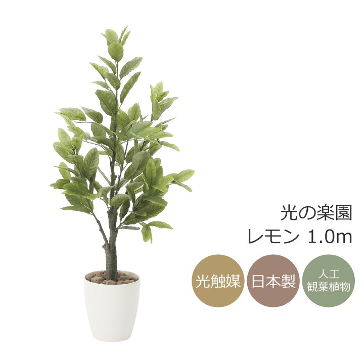 人工観葉植物 光触媒 【バードケージ】 観葉植物　レモン1.0m 🏈 インテリア おしゃれ