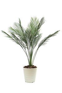 ̊y lHϗtA_̃O[013iAJp[j 1.35m