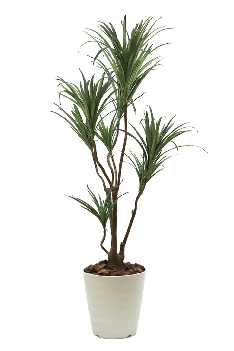 楽天市場】光の楽園 人工観葉植物一点ものグリーン026（ドラセナ） 高  