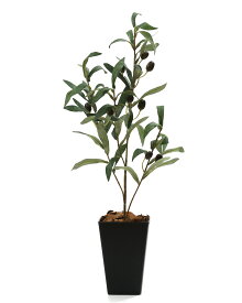 光の楽園 人工観葉植物一点ものグリーン046（オリーブ） 高さ56cm