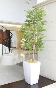 楽天市場】人工観葉植物 | 人気ランキング1位～（売れ筋商品）
