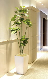 ���G�} ���̊y�� �A�[�o���u�����`�E���x���[�^1.8m �t�F�C�N�O���[�� ��^ �l�H�ϗt�A��(943K700)�i�����b�s���O�s�j