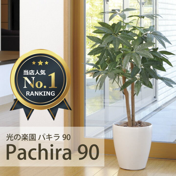 楽天市場】フェイクグリーン 光触媒光の楽園 パキラ 90 インテリア 