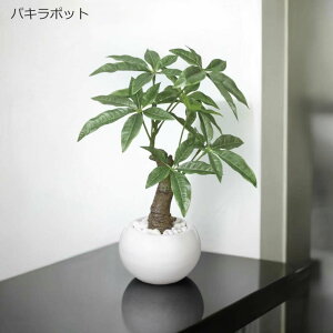 G} ̊y ~jϗtA|bg Iׂ2^Cv pL/VFtybsOsztFCN ~j  O[ lHϗtA