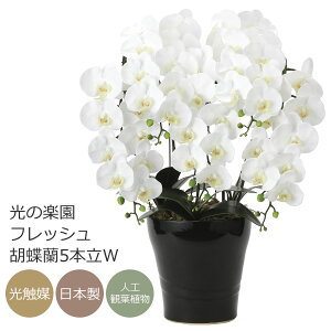 G} ̊y tbVӒ5{WyA[gt[ ԁz(2044P220)ibsOsj