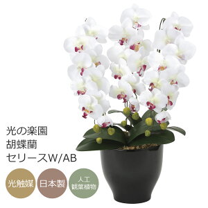 G} ̊y ӒZ[XW/AByA[gt[  R`Ez(22K120)ybsOsz