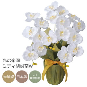 G} ̊y ~fBӒWyA[gt[  R`Ez(25K40)