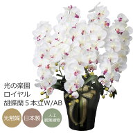 光触媒 アートフラワー光の楽園 ロイヤル胡蝶蘭 5本立W/AB高級ギフト造花【ラッピング不可】