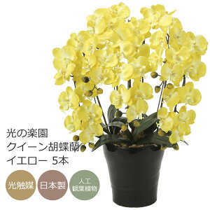 G} Ӓ̊y NC[Ӓ CG[ 5{A[gt[  R`EybsOsz