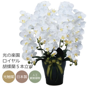 G}  R`E ̊y C Ӓ5{WybsOszyA[gt[ zCgz