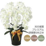 光触媒 光の楽園 プレミアム胡蝶蘭5本立W【アートフラワー 造花 コチョウラン】(651K200)【ラッピング不…
