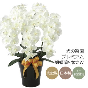 ���G�} ���̊y�� �v���~�A���Ӓ���5�{��W�y�A�[�g�t�����[ ���� �R�`���E�����z(651K200)�y���b�s���O�s�z