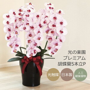 ���G�} ���̊y�� �v���~�A���Ӓ���5�{��P�A�[�g�t�����[ ���� �R�`���E���� �J�X �J�� �J�@ ���j��(652K200)�y���b�s���O�s�z