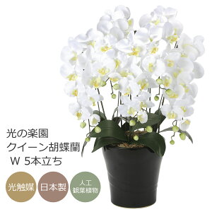 G} ̊y NC[Ӓ W zCg 5{ybsOsz yA[gt[  R`Ez