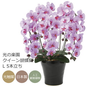 G}  ̊y NC[Ӓ L x_[ 5{ybsOszyA[gt[ AW R`Ez