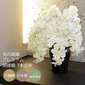 G} Ӓ̊y v~AӒ7{WybsOszyA[gt[ ԁz