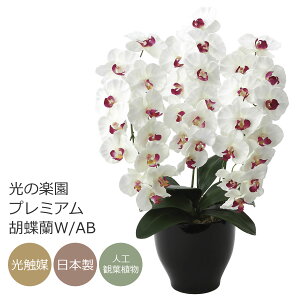 G} ̊y v~AӒW/AByA[gt[  R`Ez(661K135)ybsOsz