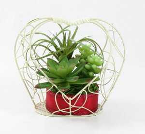 yz G} Ԍ̊y Au[yA[gt[ AWt[ ԁz