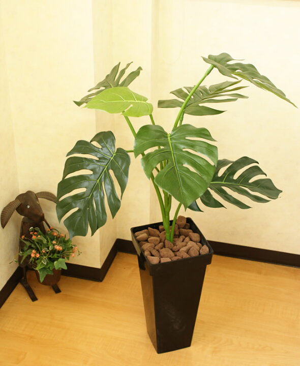 楽天市場】光触媒観葉植物 光の楽園モンステラBK 高さ100cm フェイク 