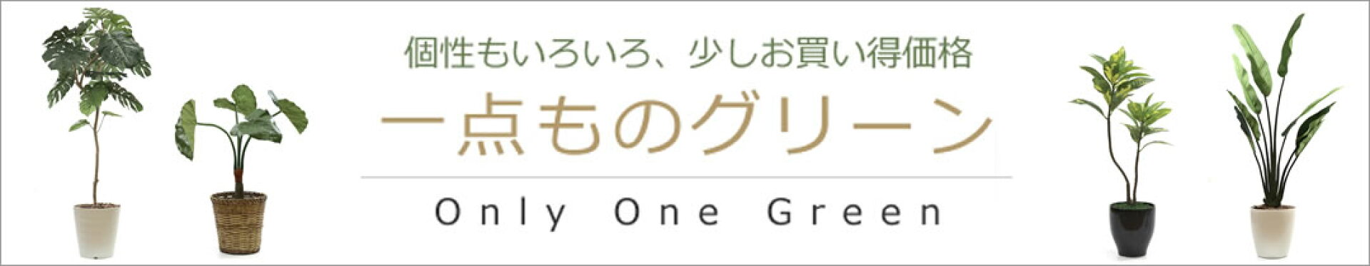 一点ものグリーン