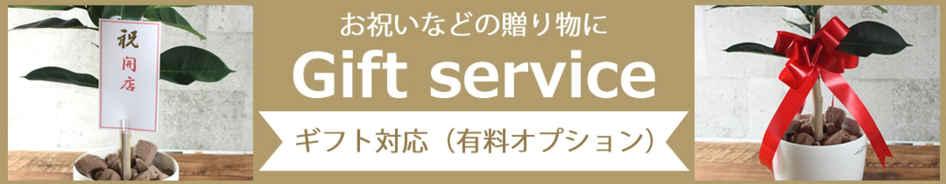光の楽園　ギフト特集　光触媒人工観葉植物　造花