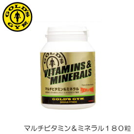 【店内商品3点以上でさらに3％OFFクーポン配布中】GOLD'S GYM ゴールドジム マルチビタミン＆ミネラル180粒 F2510 82231