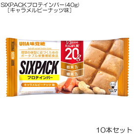 楽天市場 プロテインバー の通販