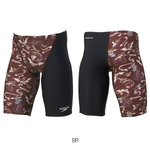 yXi3_ȏł3OFFN[|zzzXs[h SPEEDO j Kp Y TIUV[^[YW}[ ENDURANCE ECO jK 2025Ntăf ST62505