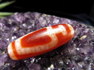 yXIXXz 󏭍g鍻 ͂߂  ^ xM~ qɉh ~ rg V@1_